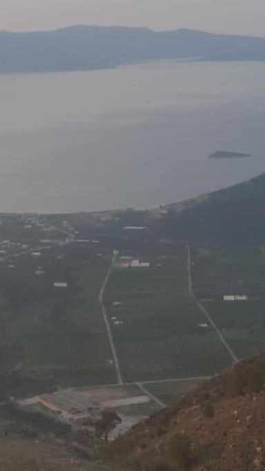 Pachia AmmosRena'S House公寓 外观 照片