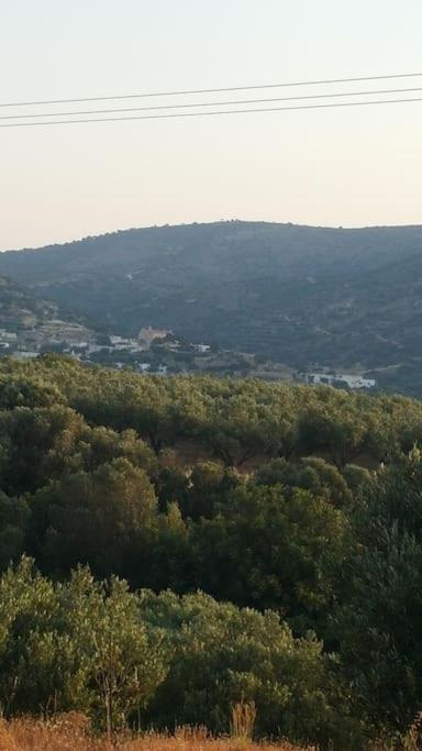Pachia AmmosRena'S House公寓 外观 照片