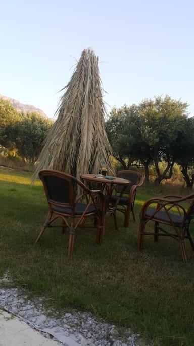 Pachia AmmosRena'S House公寓 外观 照片